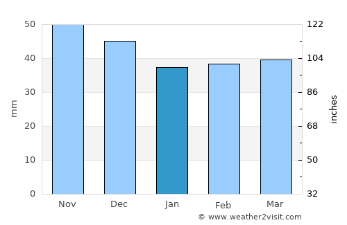Mischii average rain in January