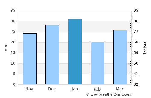 Missoula average rain in January