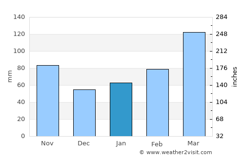 Mitake average rain in January