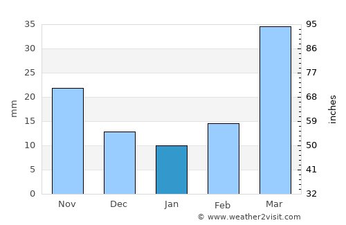 Mitchell average rain in January