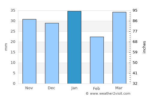 Moama average rain in January