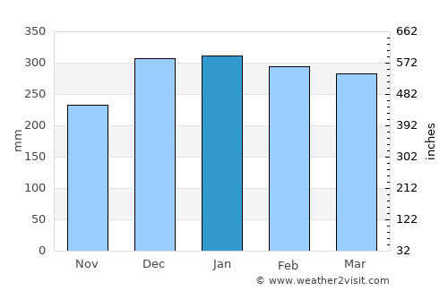 Mogi das Cruzes average rain in January