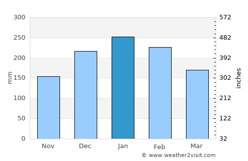 Mogi Mirim average rain in January