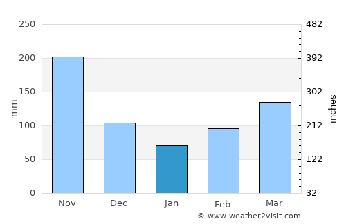 Mogotes average rain in January