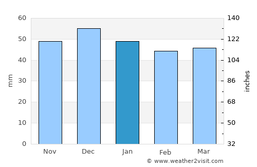 Moisei average rain in January