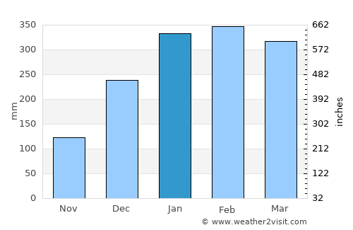 Mojokerto average rain in January
