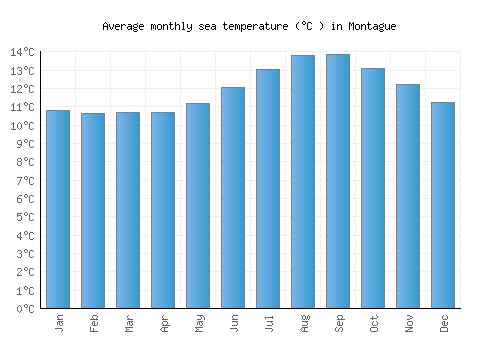 Montague average sea temperature chart (Celsius)