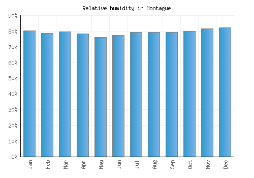 Montague relative humidity averages