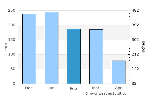 Monte Alegre de Minas average rain in February