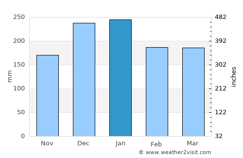 Monte Alegre de Minas average rain in January