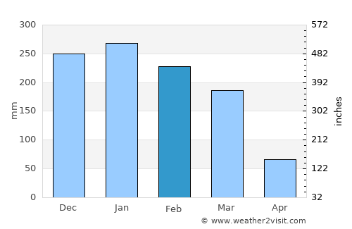 Monte Santo de Minas average rain in February