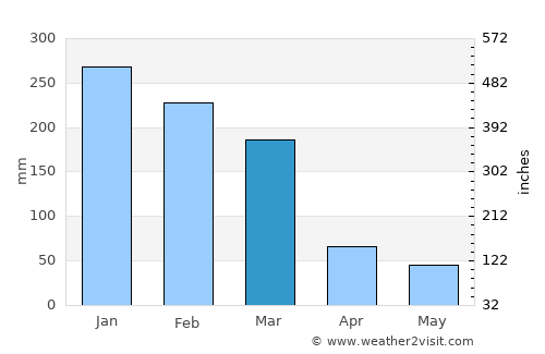 Monte Santo de Minas average rain in March