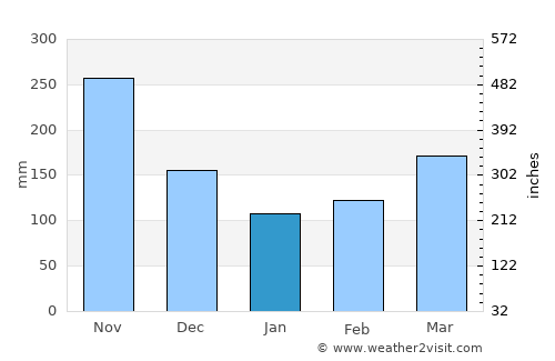 Montenegro average rain in January