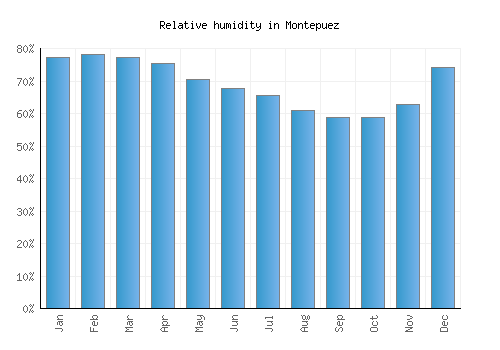 Montepuez relative humidity averages