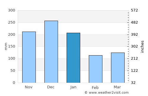 Montes Claros average rain in January