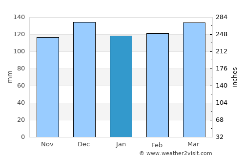 Monticello average rain in January