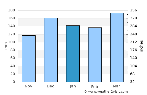 Monticello average rain in January