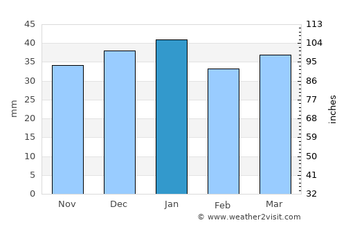 Monticello average rain in January