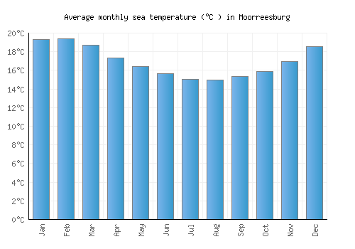 Moorreesburg average sea temperature chart (Celsius)