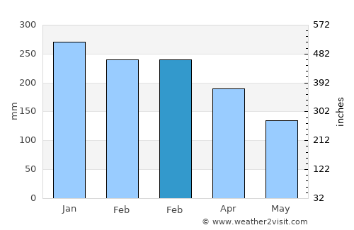 Morehead average rain in February