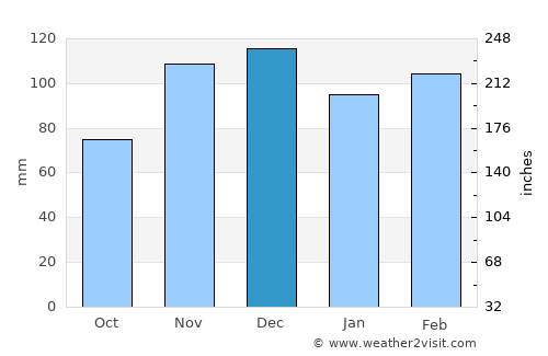 Morgantown average rain in December