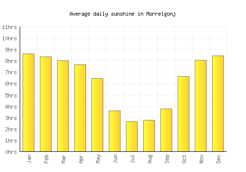 Morrelgonj average daily sunshine chart
