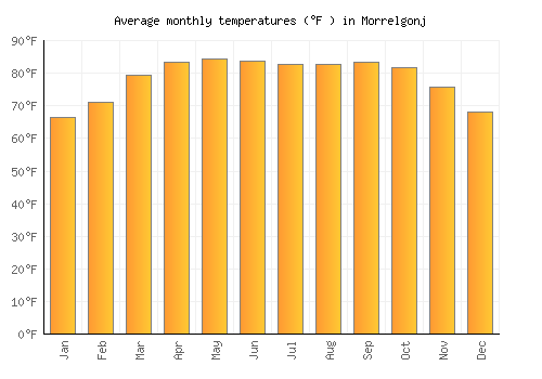 Morrelgonj average temperature chart (Fahrenheit)