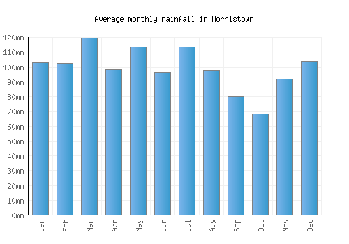 Morristown monthly rainfall chart (mm)