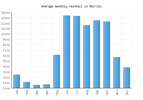 Morrito monthly rainfall chart (inches)
