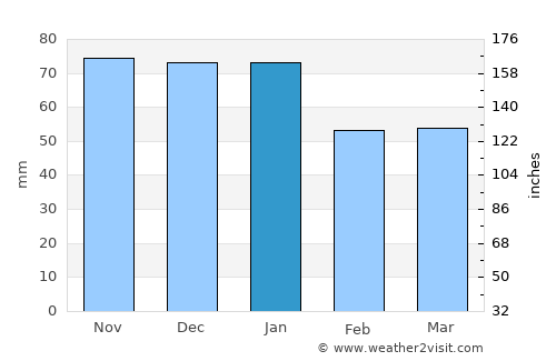 Moscow average rain in January