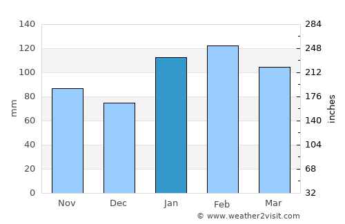 Mount Druitt average rain in January
