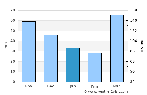 Mount Pleasant average rain in January