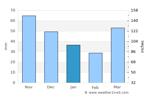 Mount Pleasant average rain in January