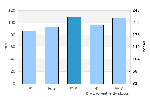 Mountain City average rain in March