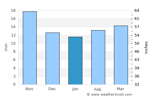 Muleshoe average rain in January