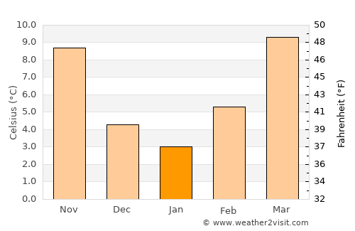 Muleshoe average temperature in January