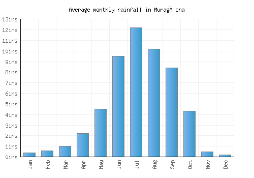 Muragācha monthly rainfall chart (inches)