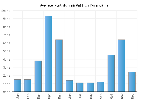 Murang’a monthly rainfall chart (inches)