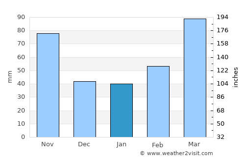 Musashino average rain in January