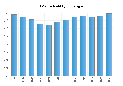 Muskegon relative humidity averages