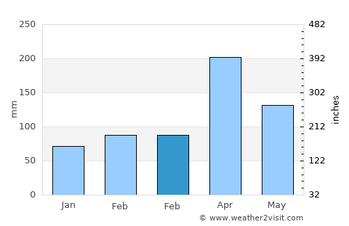 Musoma average rain in February