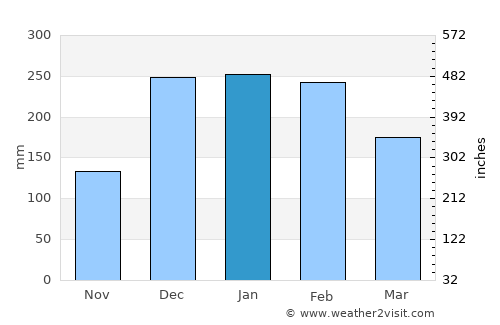 Mutare average rain in January