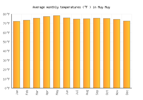 Muy Muy average temperature chart (Fahrenheit)