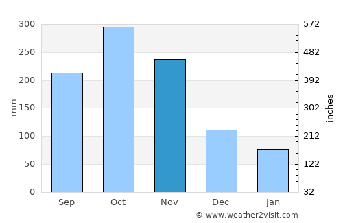 Muzo average rain in November