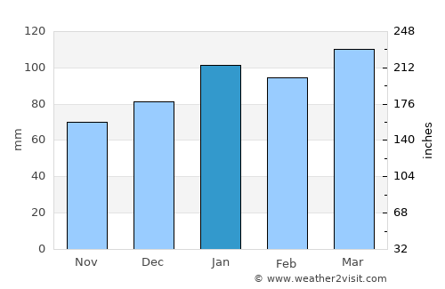 Myrtle Beach average rain in January