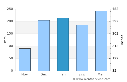 Mzuzu average rain in January
