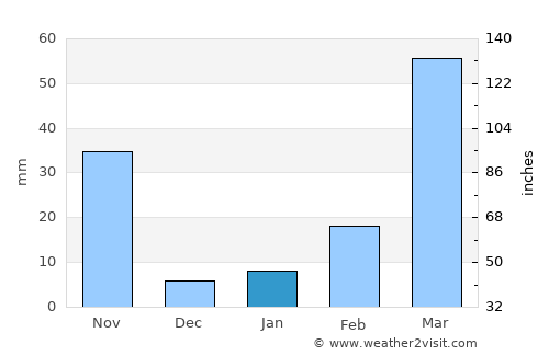 Nabīnagar average rain in January