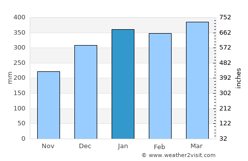 Nabire average rain in January