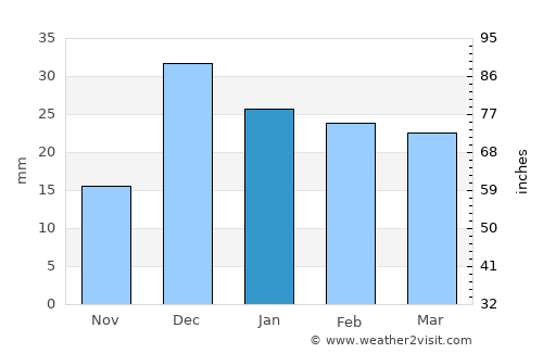 Naco average rain in January