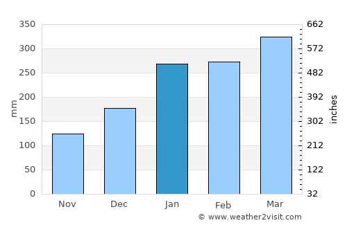 Nadi average rain in January